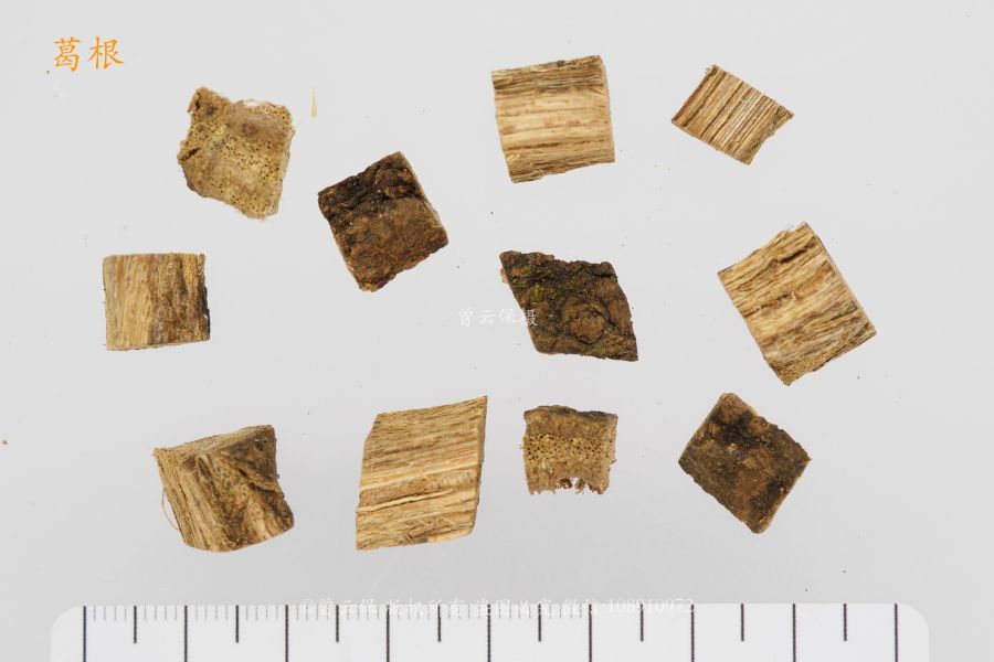 葛根饮片（切块）.jpg