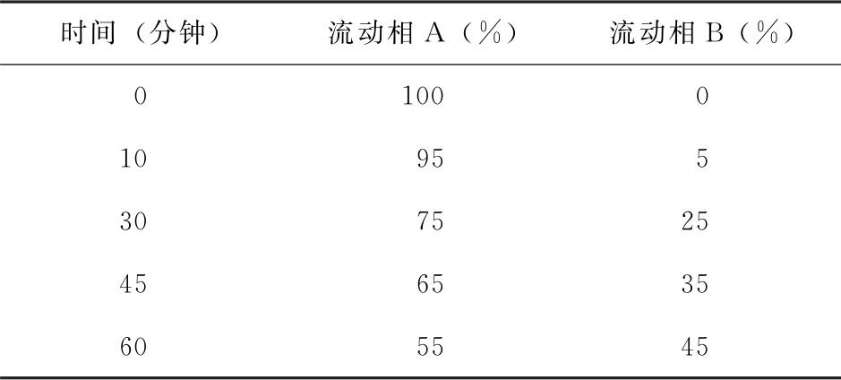 蒲公英