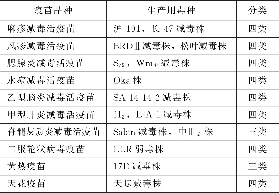 蒲公英
