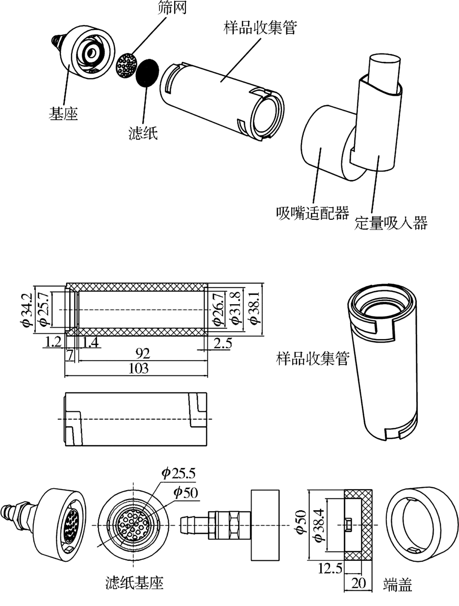 蒲公英