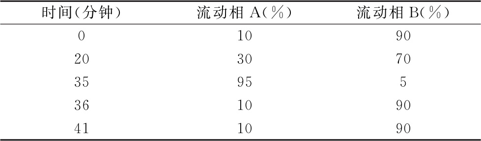 蒲公英