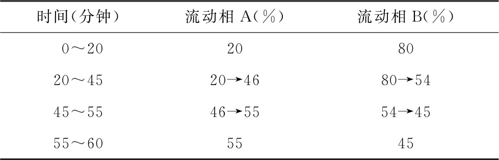 蒲公英