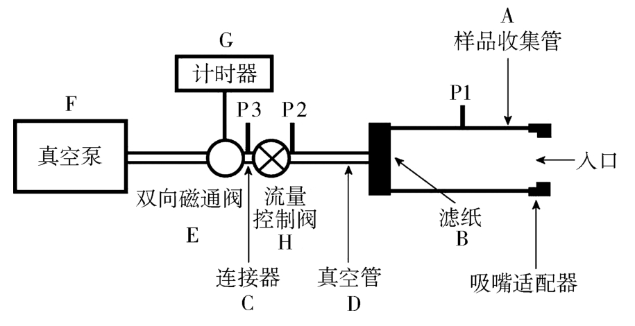 蒲公英