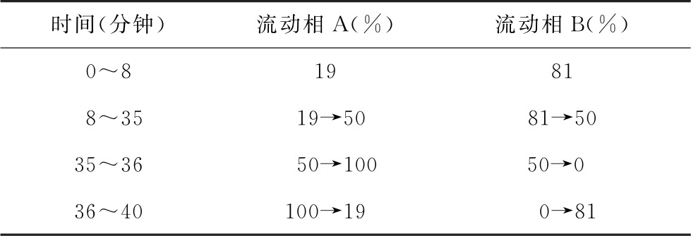 蒲公英
