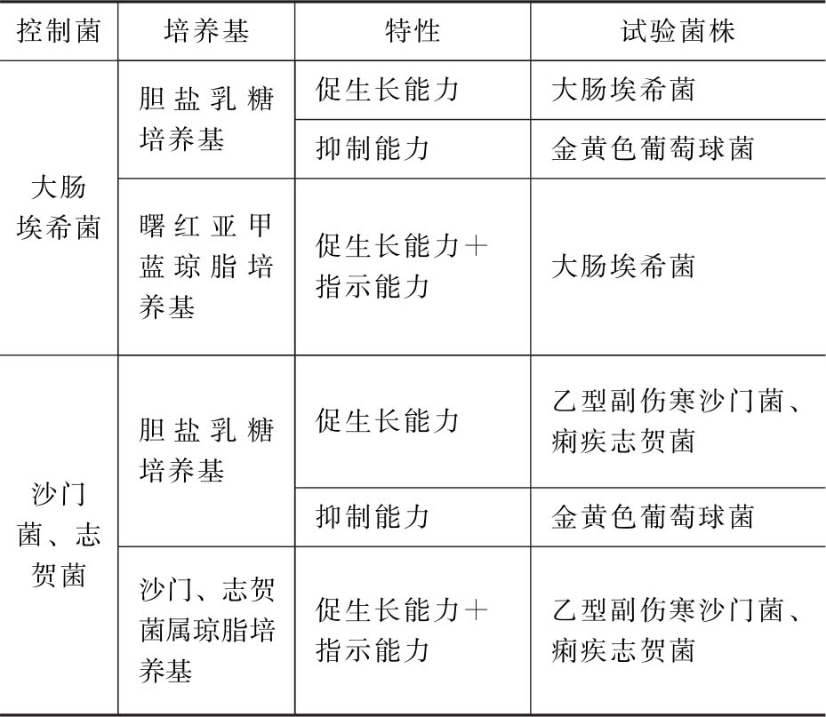 蒲公英
