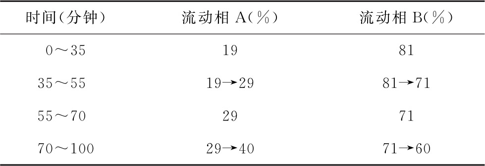蒲公英