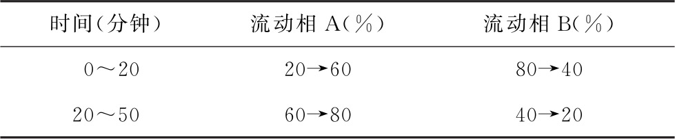 蒲公英