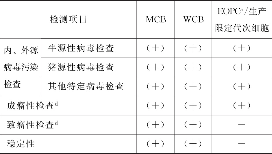 蒲公英