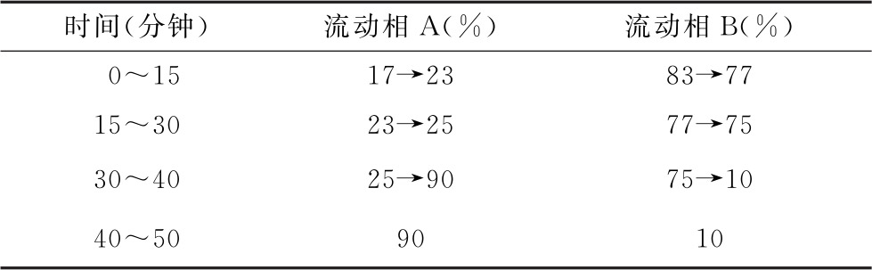 蒲公英