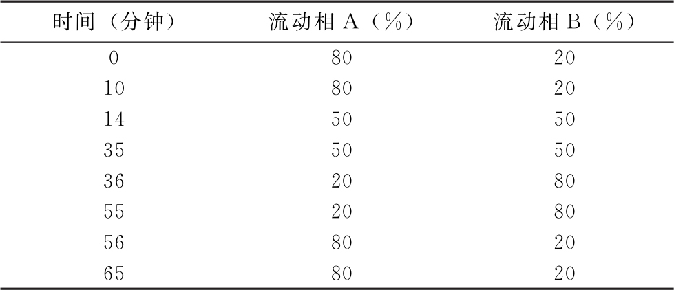 蒲公英