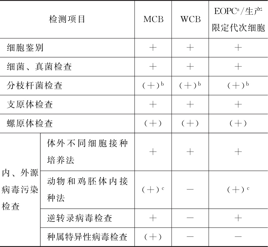蒲公英