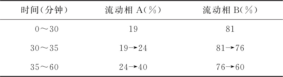 蒲公英